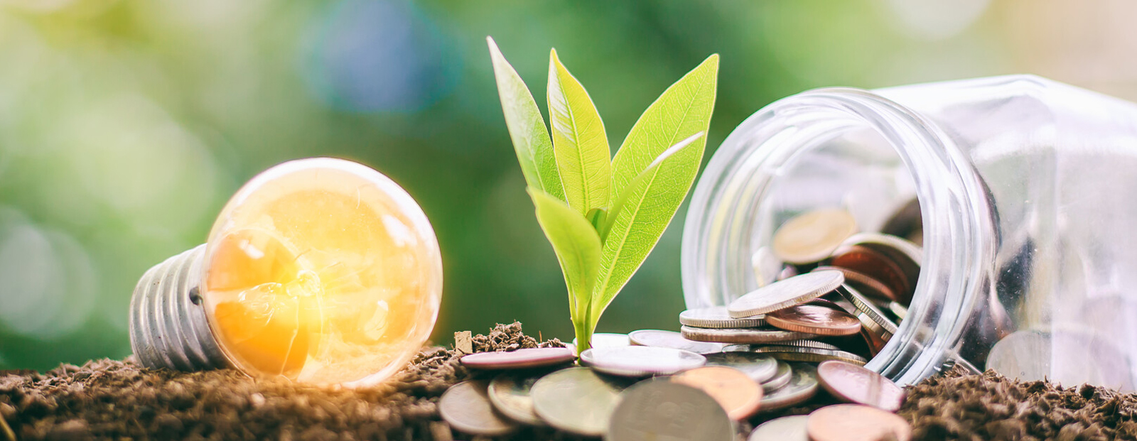 Wärmepumpen/Photovoltaik